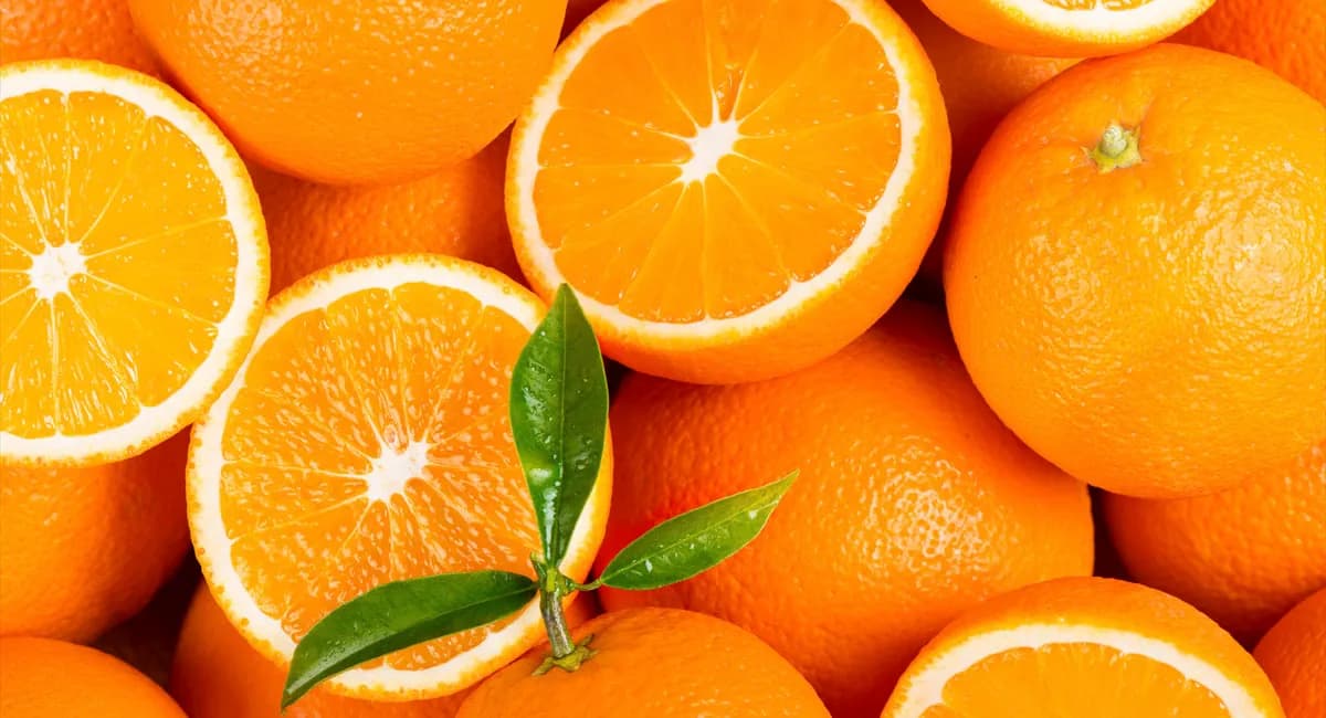 Valencian Oranges